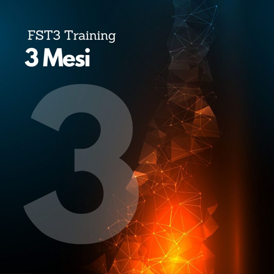 FST3.3 Mesi