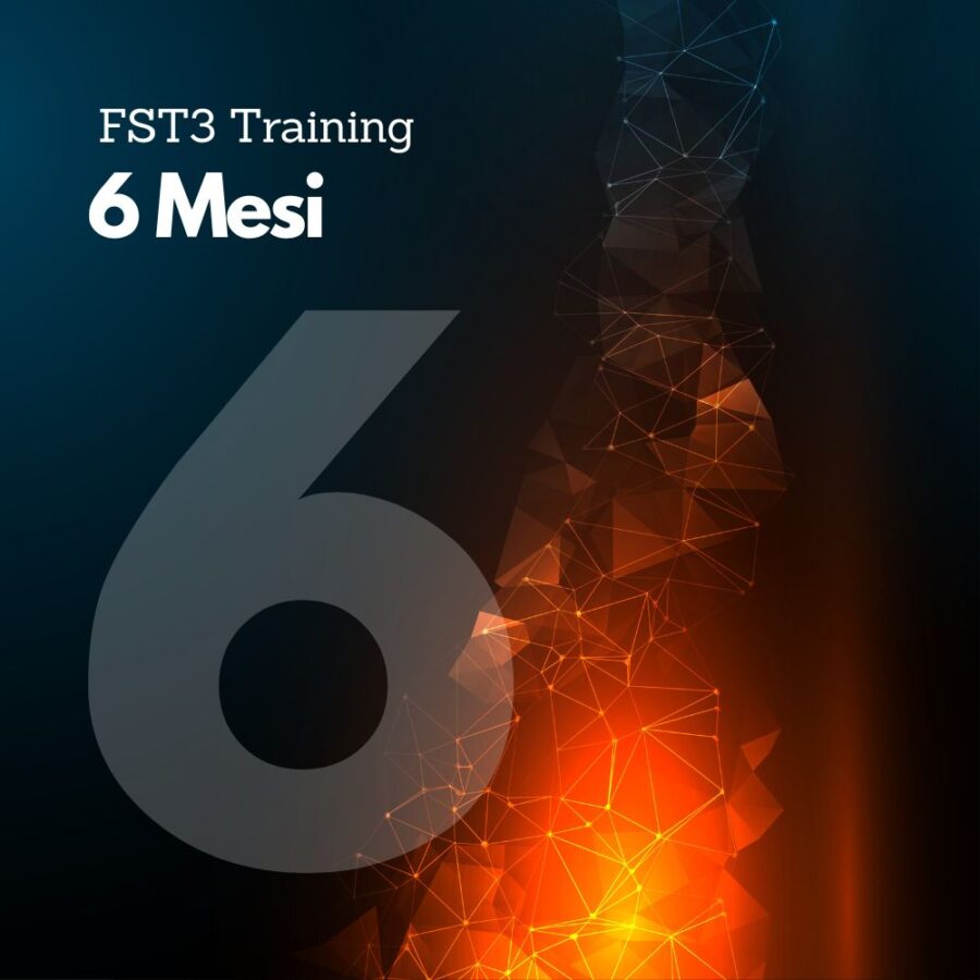 FST3.6 Mesi